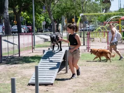 Plaza Canina, Godoy Cruz