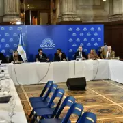 El Senado no incluir� en el Presupuesto el cap�tulo rechazado en Diputados