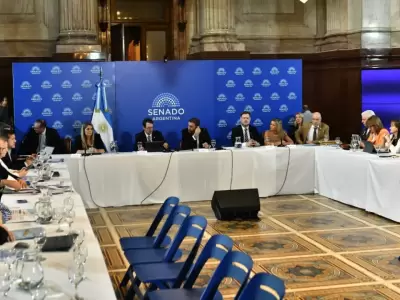 Plenario de comisiones en el Senado