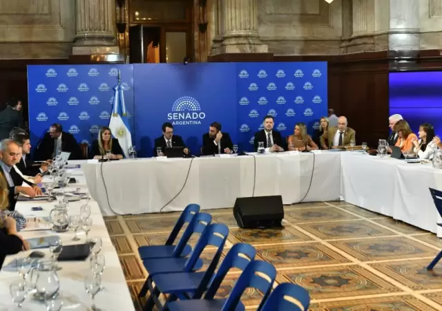 Plenario de comisiones en el Senado