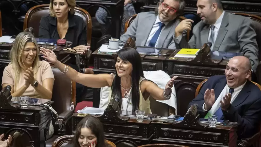 Existen expedientes similares donde otros damnificados exigen resarcimientos que superan los 100 millones de pesos.