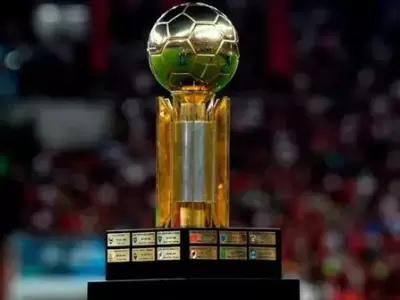 La Recopa Sudamericana se jugar� entre Lan�s y Flamengo.