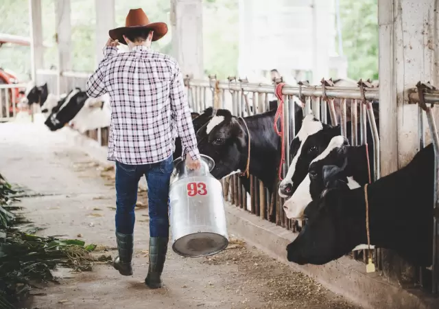 El factor clave detr�s del precio de la carne.