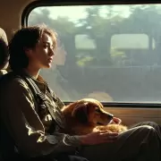Habilitan el traslado de mascotas en micros y trenes de larga distancia.