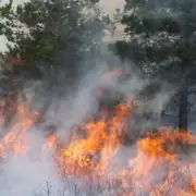 Incendio en Los Alerces: el operativo contra el fuego cumple dos semanas y afecta 340 hectáreas