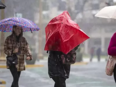 Temporal en AMBA