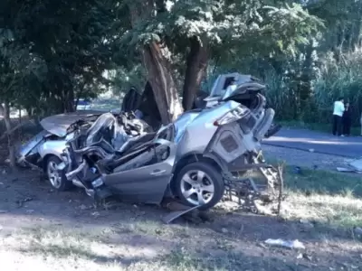 El auto termin� incrustado contra un �rbol