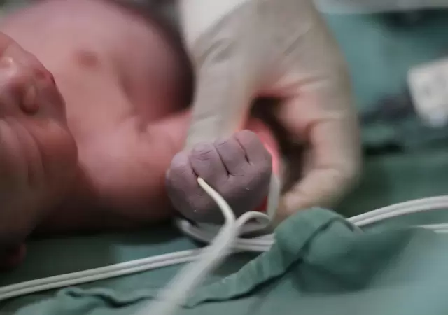 Las tres hermanitas est�n en incubadora