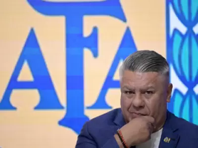Desv�os en AFA: US$ 500.000 a la pareja de Toviggino y sociedades vinculadas