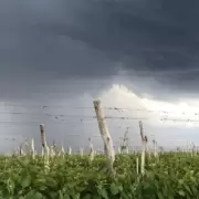 Alerta por calor extremo y granizo: el pronóstico para la mesa del 31