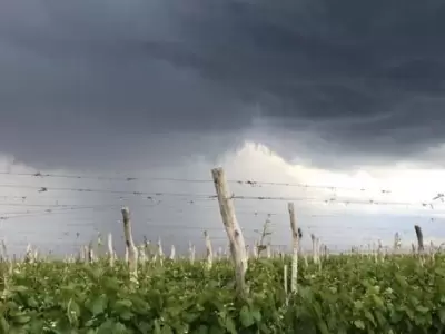 Alerta en Mendoza: calor extremo, granizo y el pron�stico para A�o Nuevo