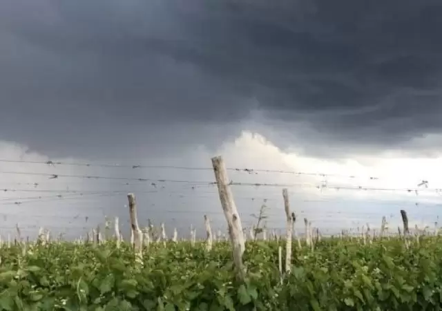 Alerta en Mendoza: calor extremo, granizo y el pron�stico para A�o Nuevo