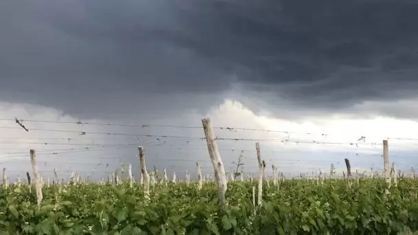 Alerta en Mendoza: calor extremo, granizo y el pron�stico para A�o Nuevo