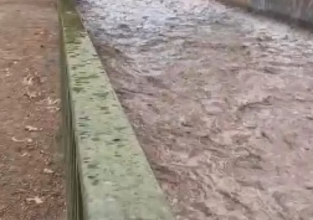 Caudal en el zanj�n de Los Ciruelos