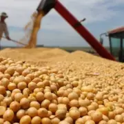 La liquidaci�n del agro creci� 25% en 2025 e ingresaron m�s de US$ 31.300 millones