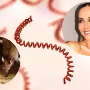 Ni gripe ni resfrío: el síntoma silencioso de la leptospirosis que no podés ignorar