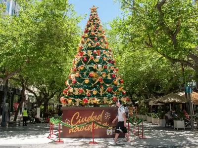 El �rbol navide�o fue instalado a comienzos de diciembre.
