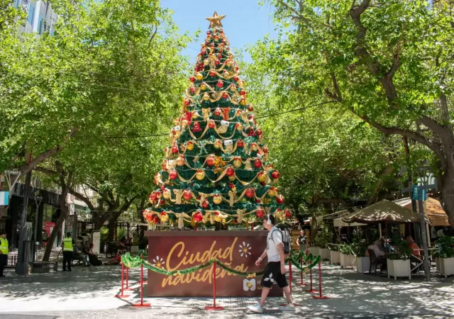 El �rbol navide�o fue instalado a comienzos de diciembre.