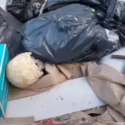 ¿Crimen o descuido? El extraño hallazgo en un volquete de Mar del Plata que movilizó a la Científica