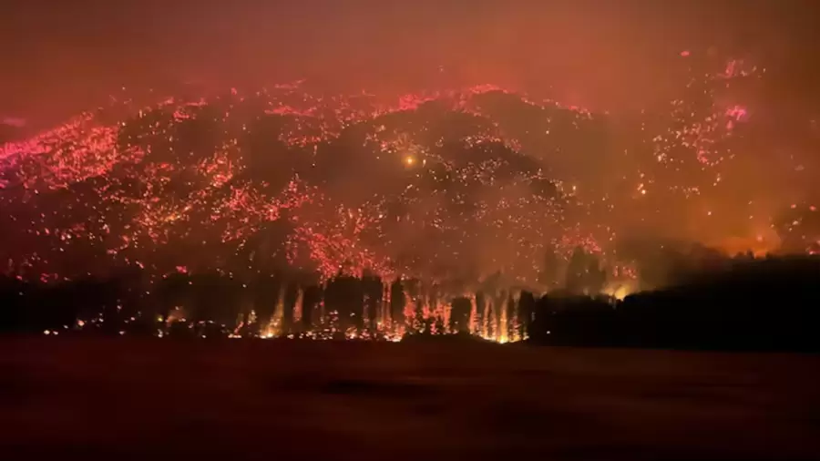 la superficie de bosques afectados se cuadruplic� respecto a la temporada anterior.