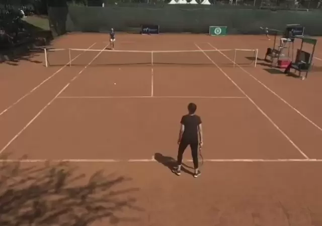 Tenis