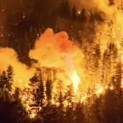 Terror en Chubut: el fuego no da tregua y buscan a los culpables con una recompensa millonaria