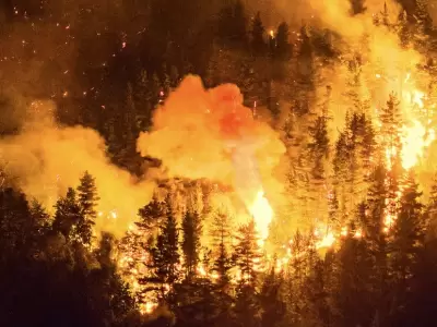 Encontraron materiales inflamables en algunos incendios en Chubut y buscan a los responsables del desastre.