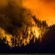 Controversia con la versión oficial sobre los autores de los incendios en el sur