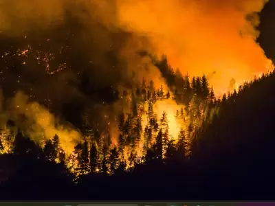 Tragedia ambiental