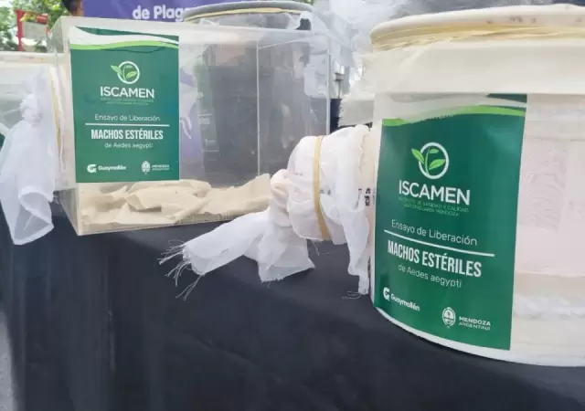 Liberaci�n de mosquitos esterilizados
