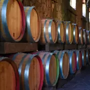 Créditos para bodegas: Mendoza impulsa exportación de vino