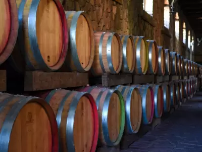 Mendoza y su exportaci�n.