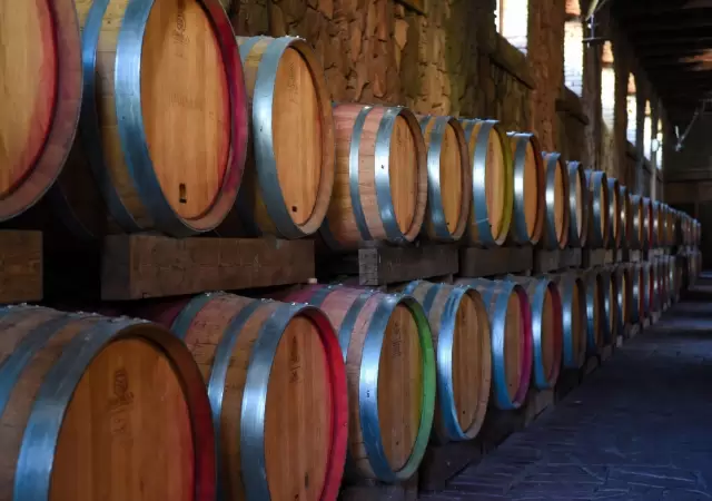 Mendoza y su exportaci�n.