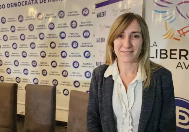 Diputada Mercedes Llano
