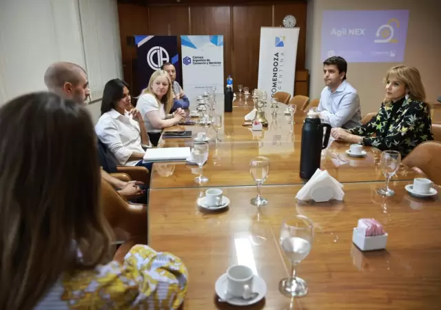 El responsable del programa, Luciano Romero, brind� detalles de �gil Nex en C�rculo Pol�tico.