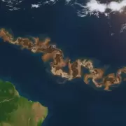 Qué es la "mancha" gigante que asfixia las costas desde África hasta el Caribe