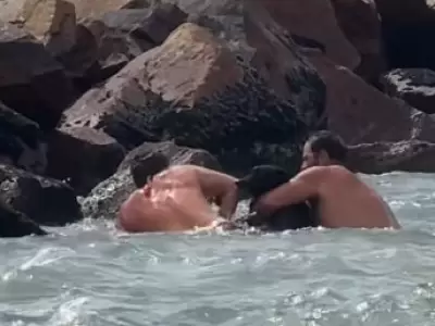 Rescate de un perro en Mar Chiquita/ Fuente: Captura de video