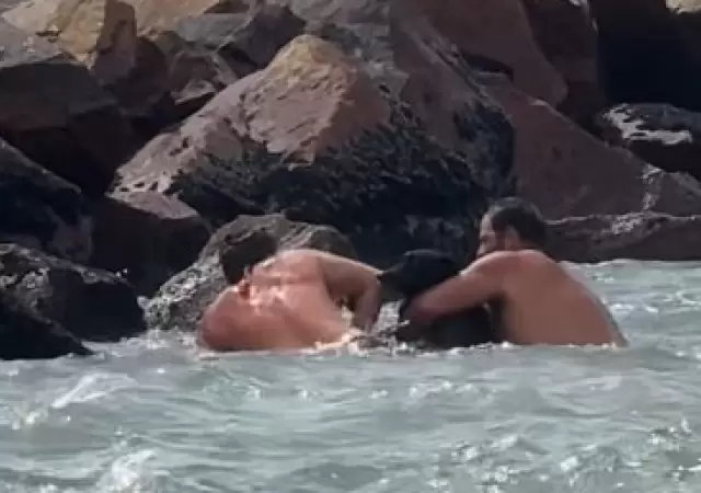 Rescate de un perro en Mar Chiquita/ Fuente: Captura de video