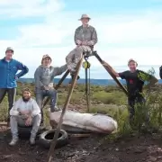 Dinosaurio en Neuquén: CONICET presenta la nueva especie Jenen