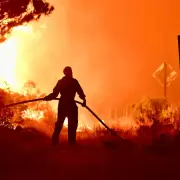 Hasta 15 años de cárcel: la propuesta de "Ecocidio" para frenar la destrucción ambiental en Argentina