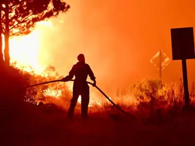 El t�rmino fue acu�ado por la Stop Ecocide Foundation y busca endurecer las penas por este tipo de da�os.
