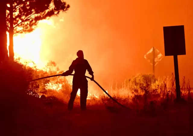 El t�rmino fue acu�ado por la Stop Ecocide Foundation y busca endurecer las penas por este tipo de da�os.