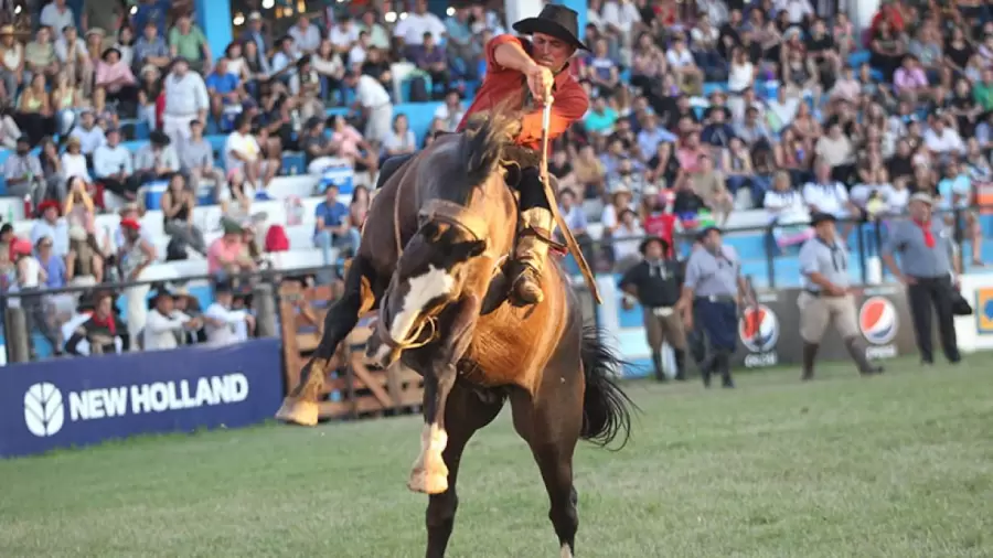 Festival de la Doma