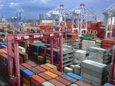 Importante movimiento de mercaderias hacia el exterior