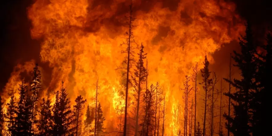 Incendios en Chile