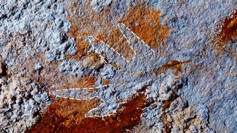 nvestigadores descubren en Indonesia la pintura rupestre m�s antigua del mundo.