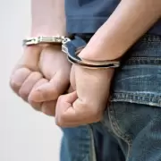 Caso Chispita: por qu� bajar la edad de imputabilidad divide
