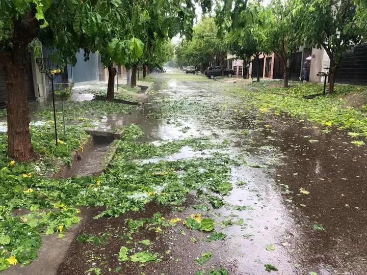 Tras el paso de la piedra y la lluvia, Defensa Civil y cuadrillas municipales trabajan para despejar las zonas m�s castigadas por el temporal.