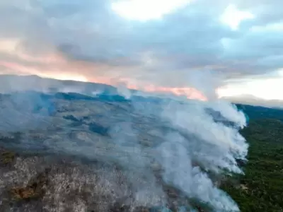 Paisaje desolador en el Parque Nacional Los Alerces: las llamas ya consumieron m�s de 10.000 hect�reas de bosque nativo en Chubut.