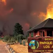 El Gobierno interviene el Parque Nacional Los Alerces tras los devastadores incendios